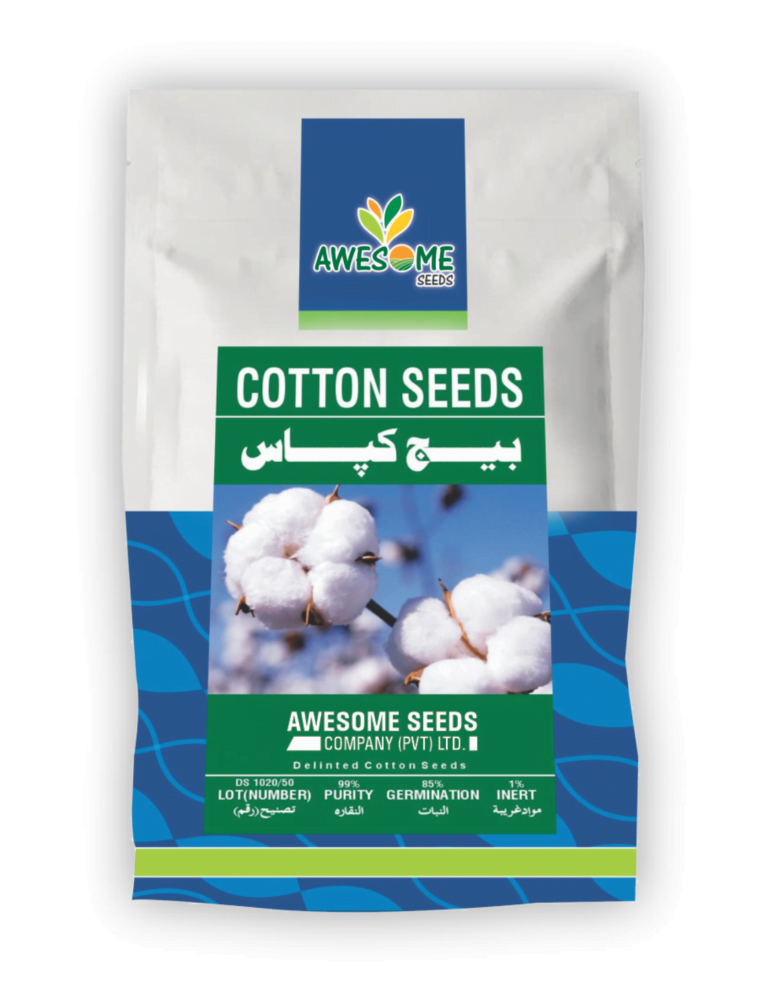 Cotton Seed