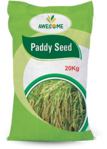 Paddy Seed