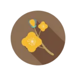 mustard seed