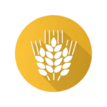 wheat seed