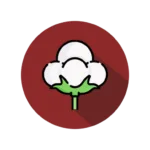 cotton seed